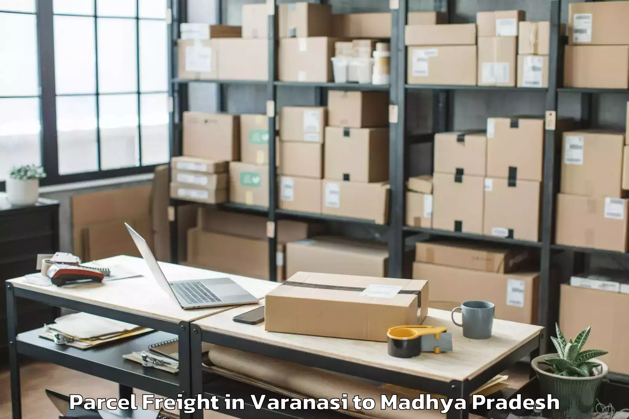 Professional Varanasi to Sitamau Parcel Freight